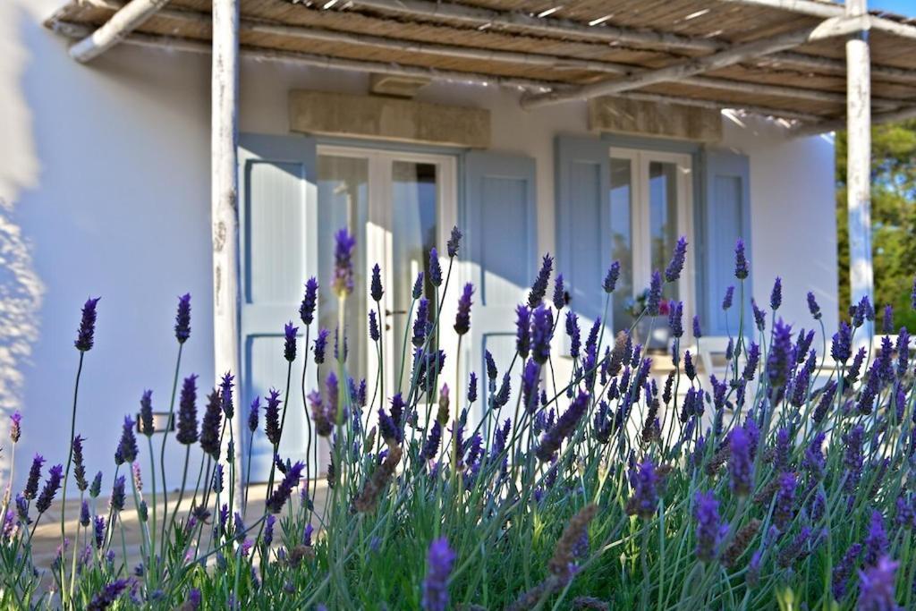 Masseria Montelauro Otranto Dış mekan fotoğraf