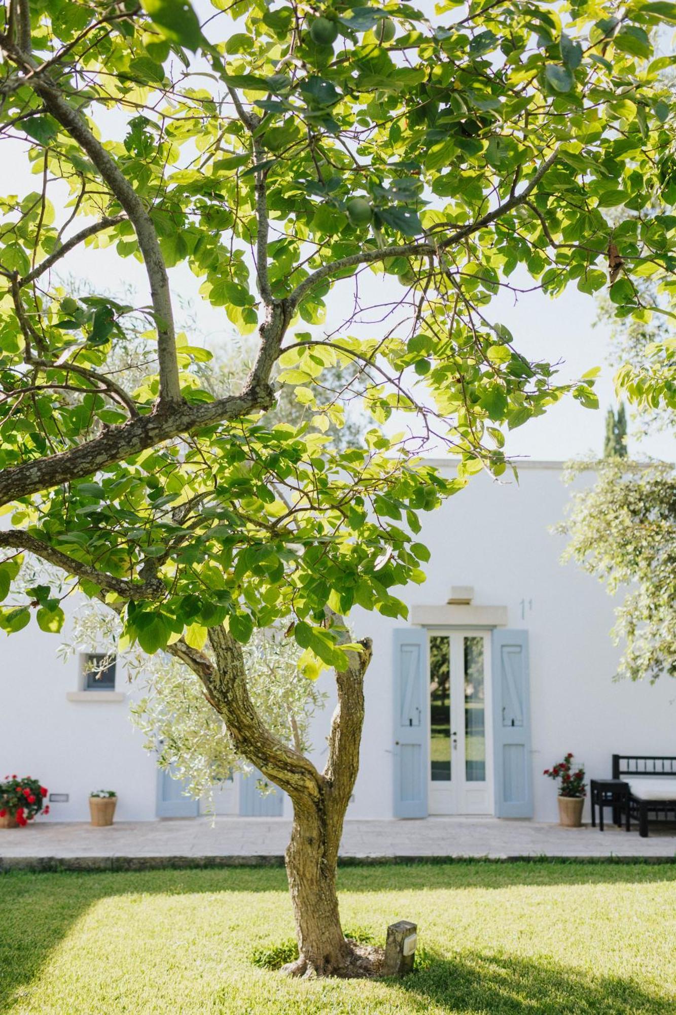 Masseria Montelauro Otranto Dış mekan fotoğraf